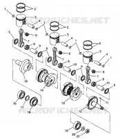 KOLBEN   KURBELWELLE XLT LTD 0973756 AND EUROPEAN XLT LTD E973756 (4937793779C006)