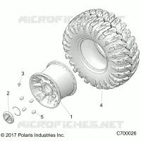 RADS, REAR