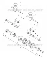 PISTON AND KURBELWELLE (SS) (4909540954023A)