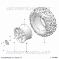 RADS, REAR