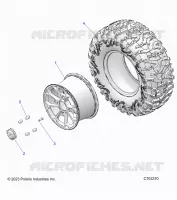 RADS, REAR