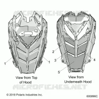 HAUBE FOAM/SEAL