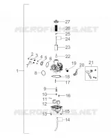 MOTOR, VERGASER