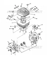 CRANKCASE AND ZYLINDER TRAIL BLAZER (4919761976033A)