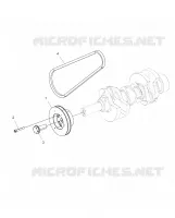 MOTOR, DRIVE ROLLE AND DRIVE BELT
