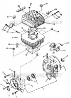 CRANKCASE AND ZYLINDER TRAIL BOSS / W928527 (4922892289033A)
