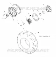 RADS, REAR