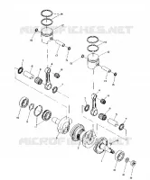 PISTON AND KURBELWELLE (TRAIL) (4910941094034A)