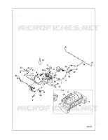 ELEKTRIC, HARNESS