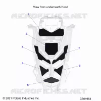 HAUBE FOAM/SEAL