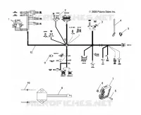 ELEKTRIC