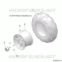 RADS, REAR