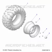 RADS, REAR