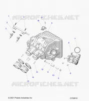 ENGINE, INTAKE INTAKE MANIFOLD, DROSSELKLAPPENGEHÃ„USE, FUEL RAIL- Z24NME99A2/B2 (C702910)