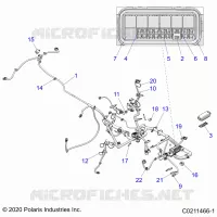 ELEKTRIC, HARNESS