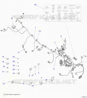 ELEKTRIC, HARNESS