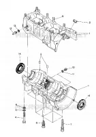 CRANKCASE 500 AND 500 CLASSIC (4916791679023A)