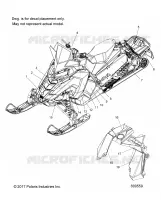 DECALS