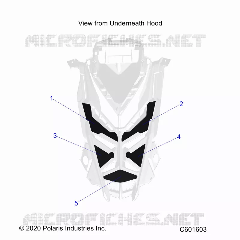 HAUBE FOAM/SEAL