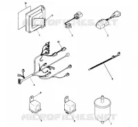 TEILE EFI (4918391839031A)