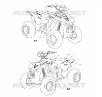 DECALS