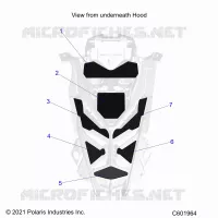 HAUBE FOAM/SEAL