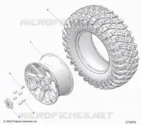 RADS, REAR