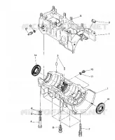 CRANKCASE 500 AND 500 CLASSIC (4915411541032A)