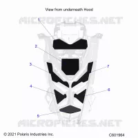 HAUBE FOAM/SEAL