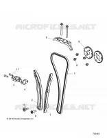CAM CHAIN AND TENSIONER