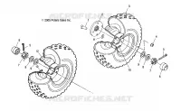 RADS, REAR and MIDDLE
