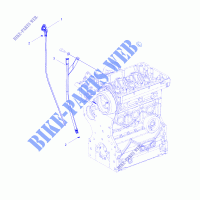 ENGINE, Ã–LPEILSTAB AND GUARD   R16B1PD1AA/2P (49BRUTUSDIPSTICK15DSL) für Polaris RANGER HST 2016