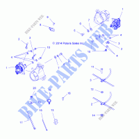 BRAKES, BREMS LINES   A19SWS57C1/C2 (49ATVBRAKELINERR15TRGEU) für Polaris SPORTSMAN X2 570 EPS 2019